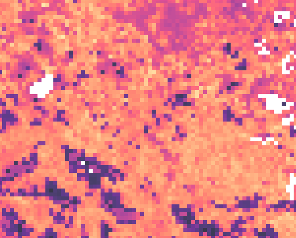 2025 08 26