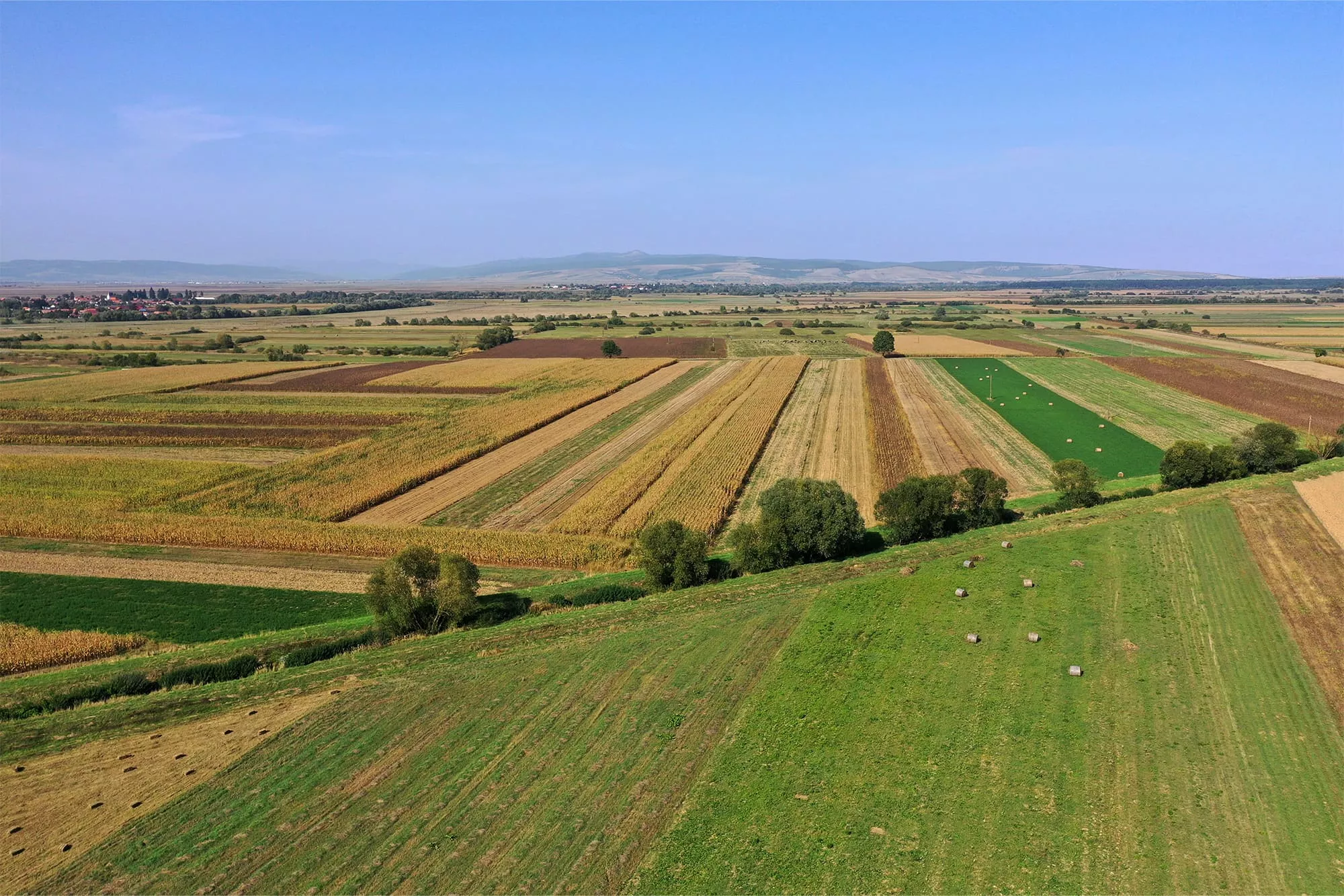 Agricultural separate fields 