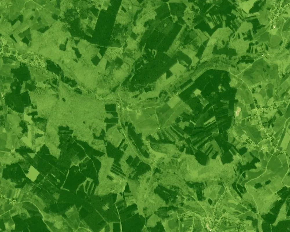 Sentinel-2 NDVI