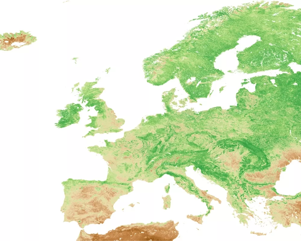 Continental FAPAR overview in August 2025