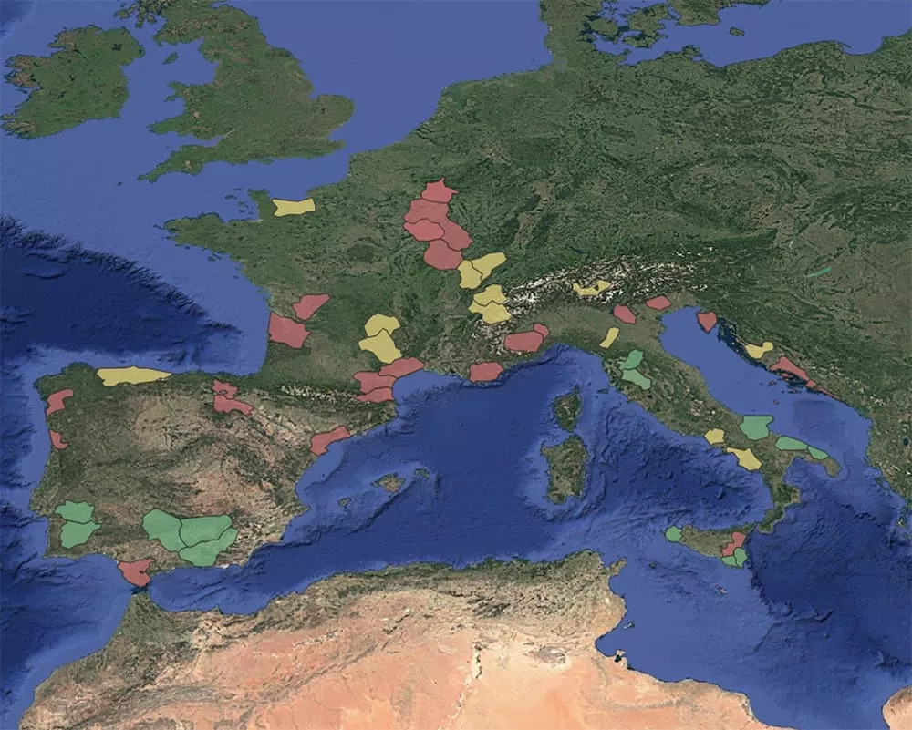 Europe region cheese wine and olive oil