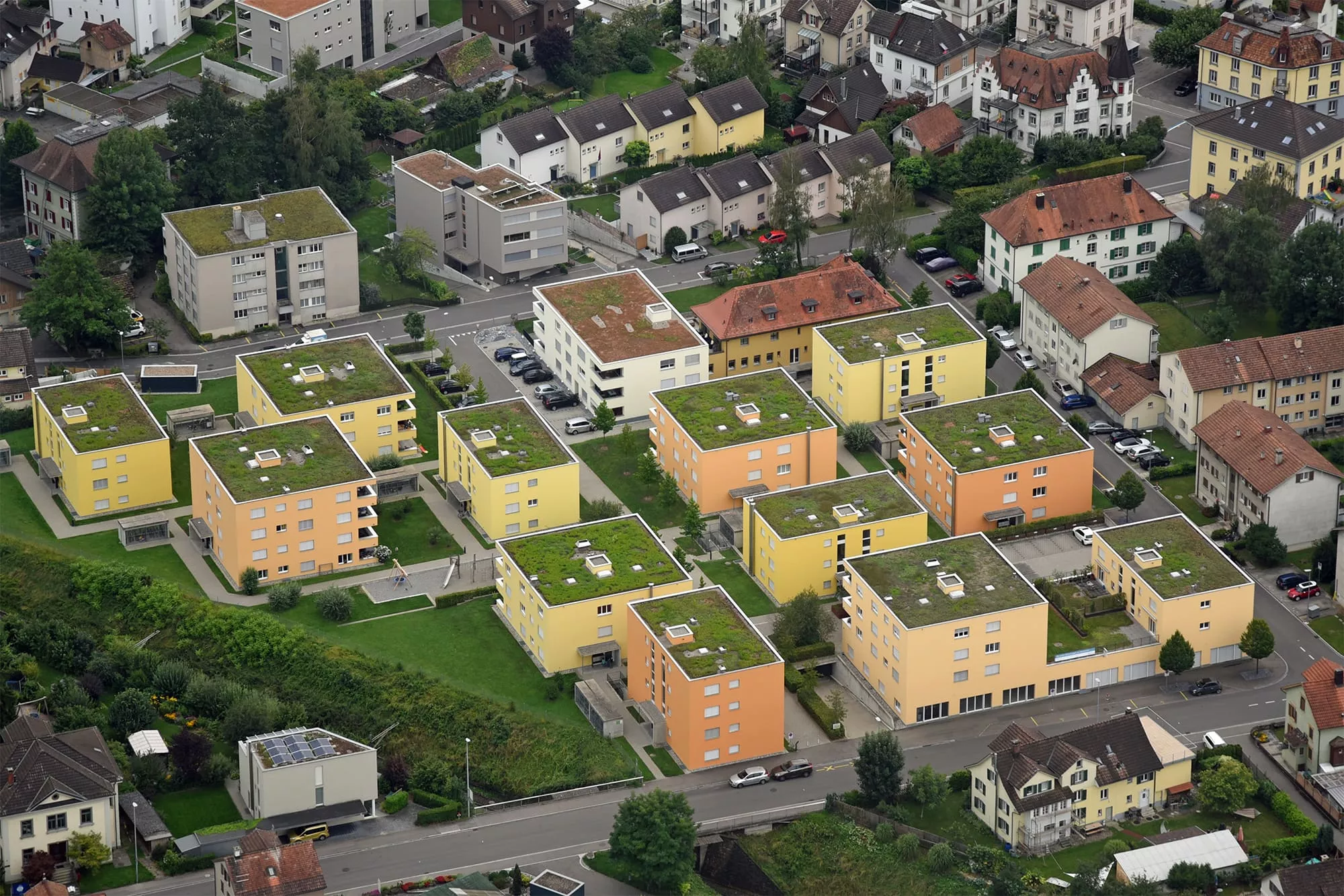 Green rooftop 