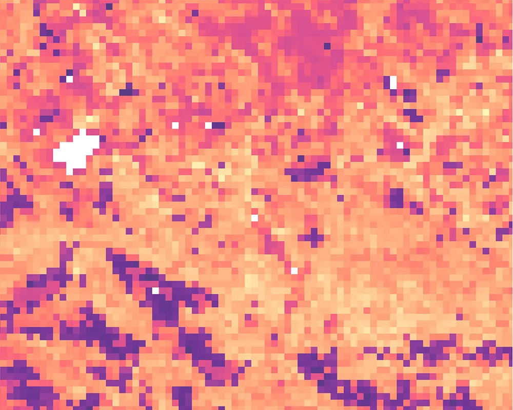 Land surface temperature 2025-08-11