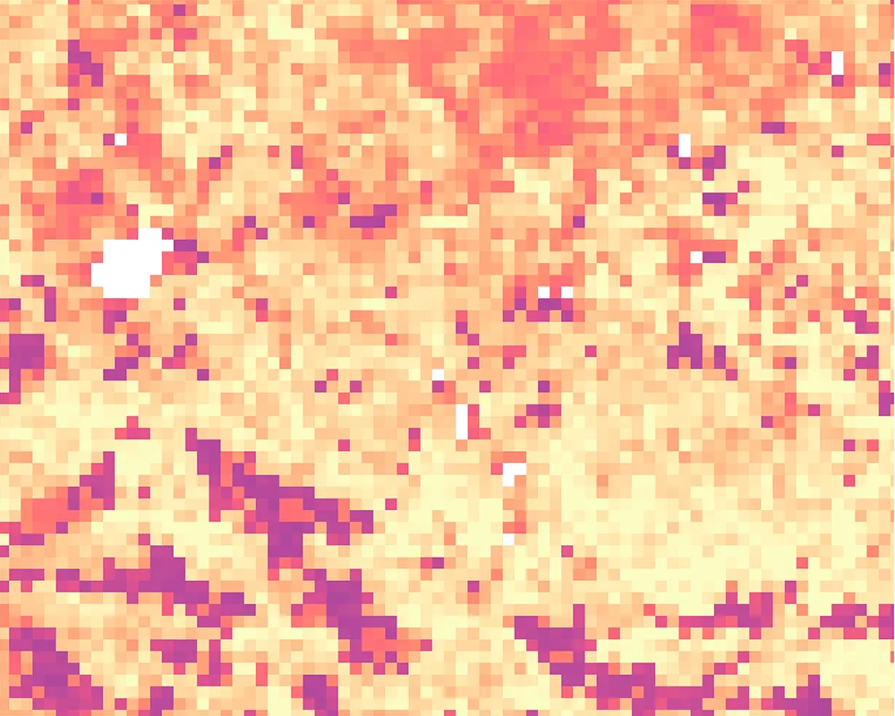 Land surface temperature 2025-08-13