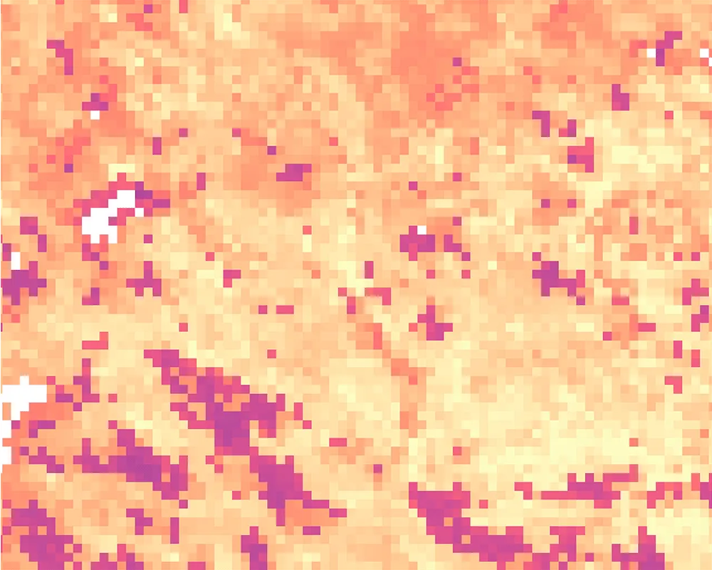 Land surface temperature 2025-08-14