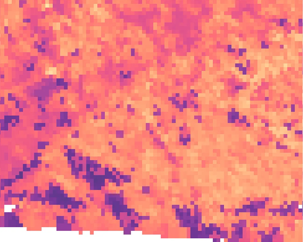 Land surface temperature 2025-08-18