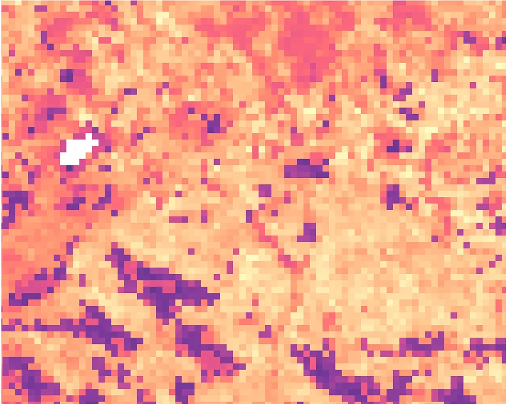 Land surface temperature 2025-08-19