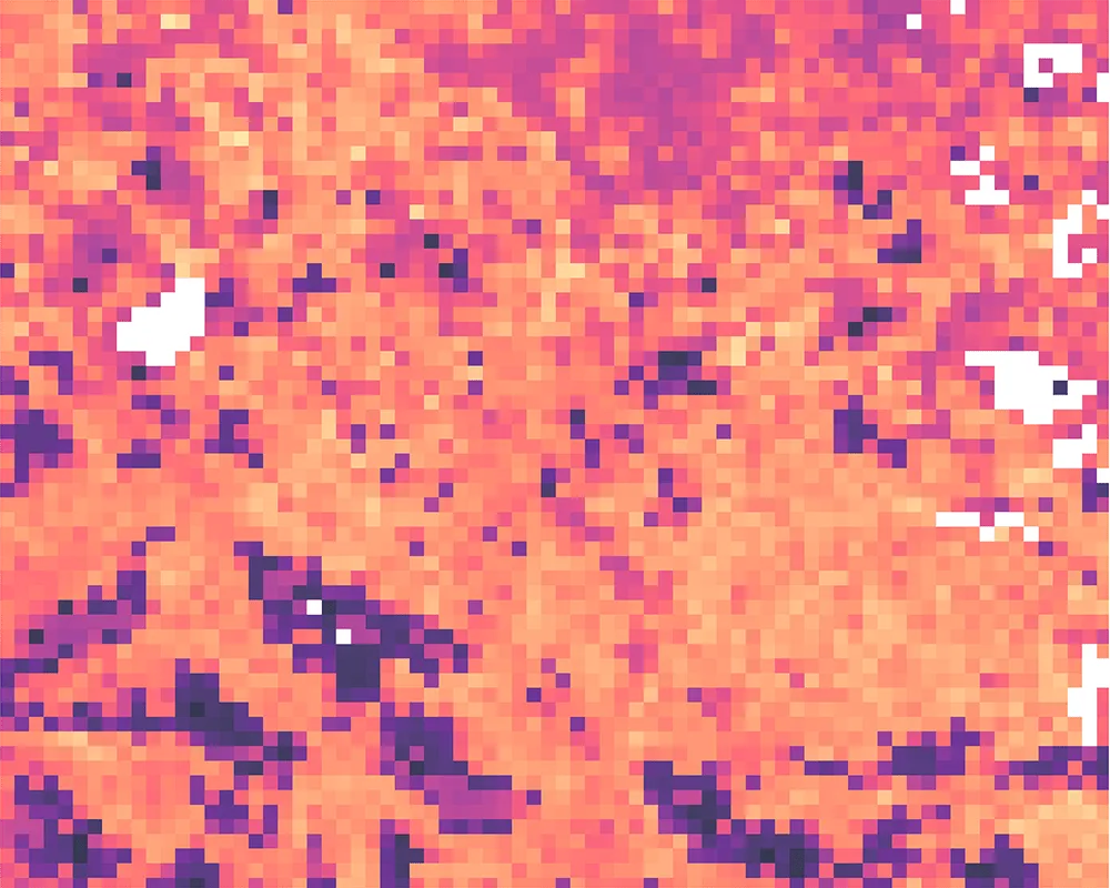 Land surface temperature 2025-08-26