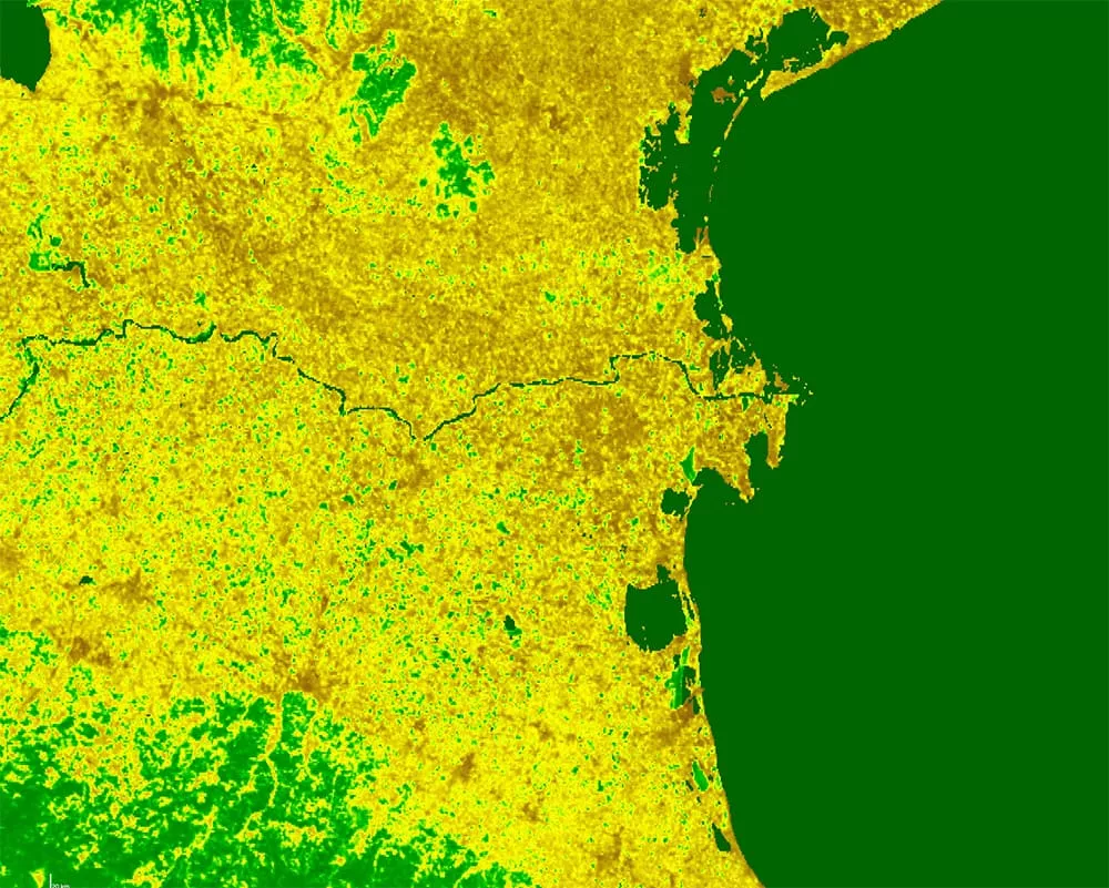 Leaf Area Index (CLMS)