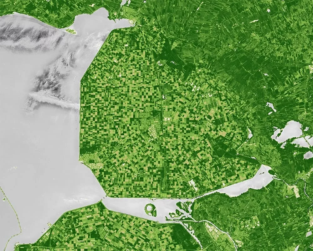 Sentinel 2 – Normalized Difference Vegetation Index (NDVI) 