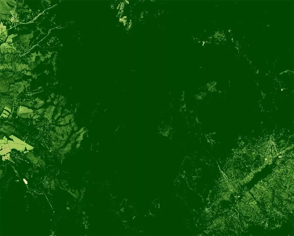 2017  Normalized Difference Vegetation Index (NDVI)