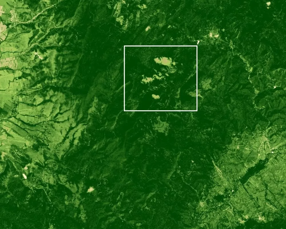 2024 Enhanced  Vegetation Index (EVI)