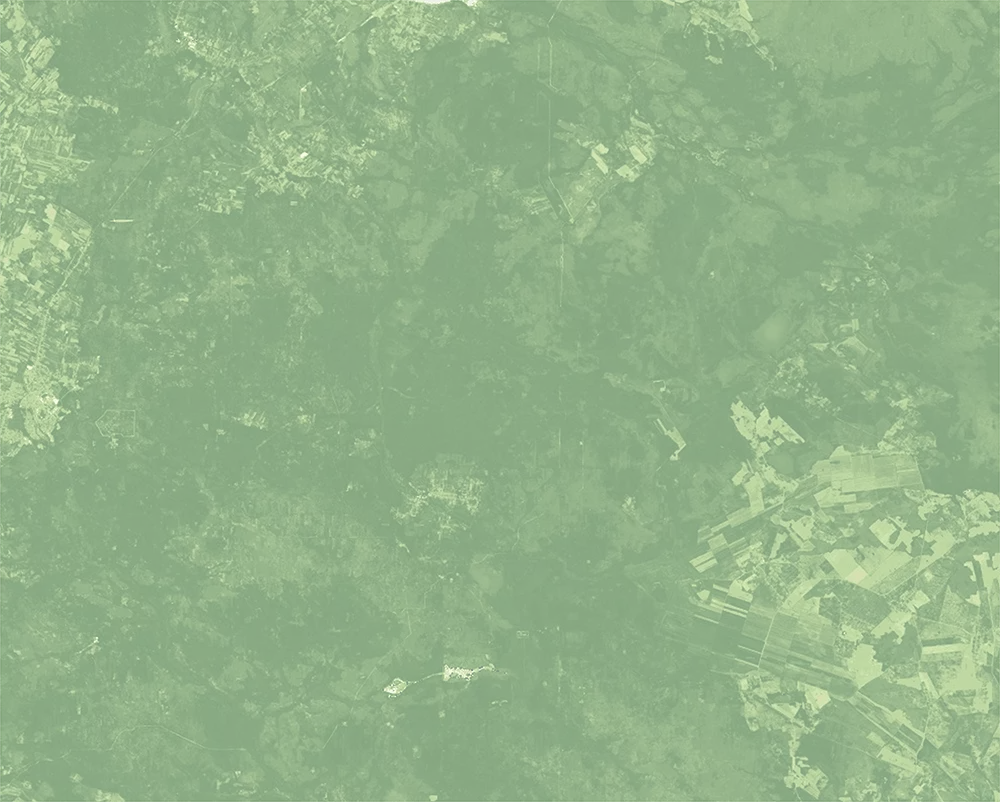 Normalized Difference Vegetation Index (NDVI) – 2018