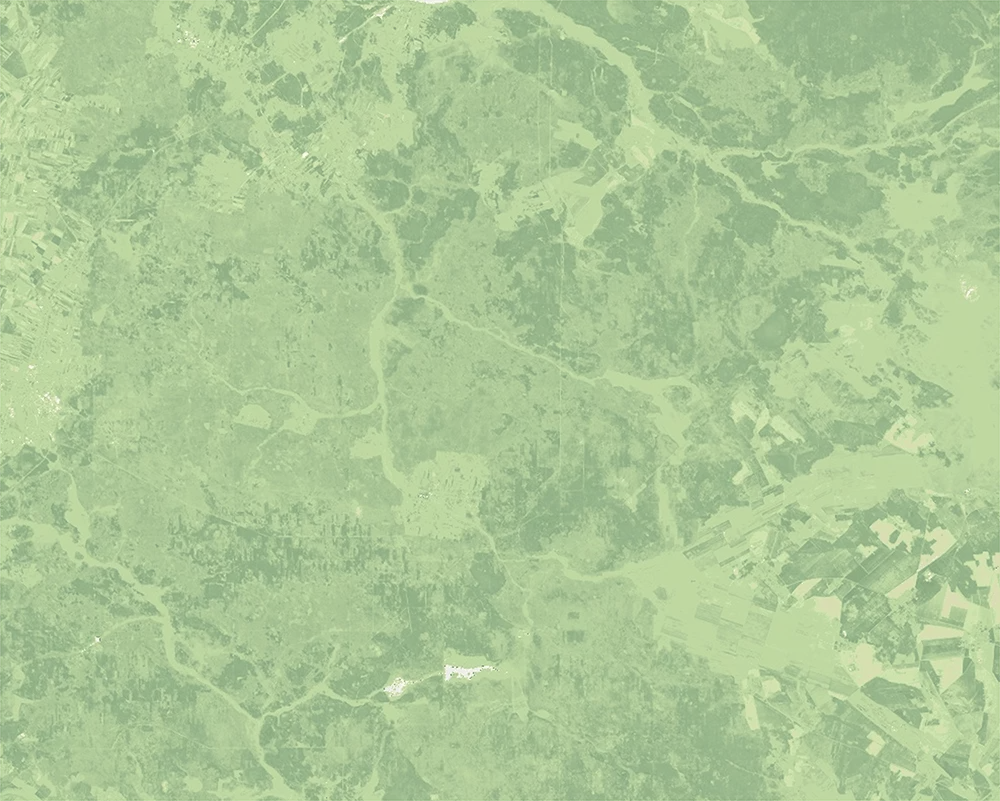 Normalized Difference Vegetation Index (NDVI) – 2025