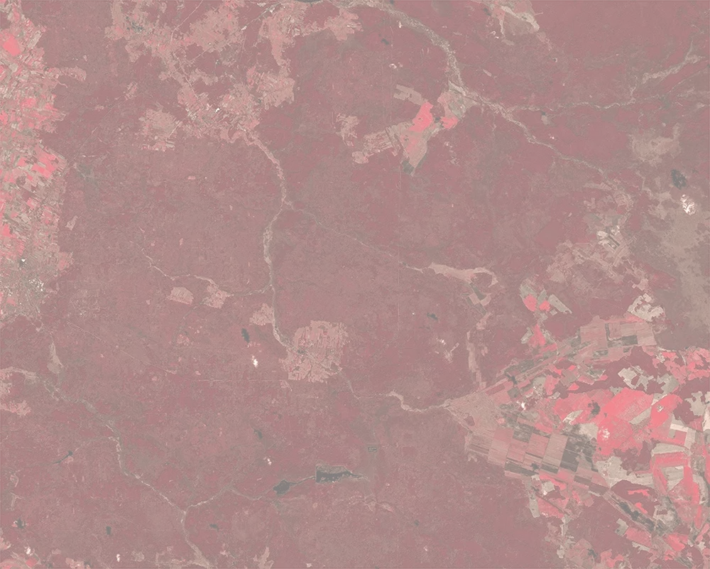 NIR-Red-Green False colour – 2025