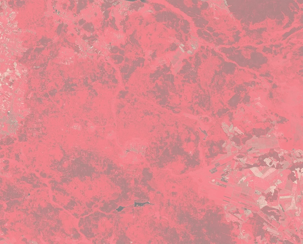 NIR-Red-Green False colour -  2018