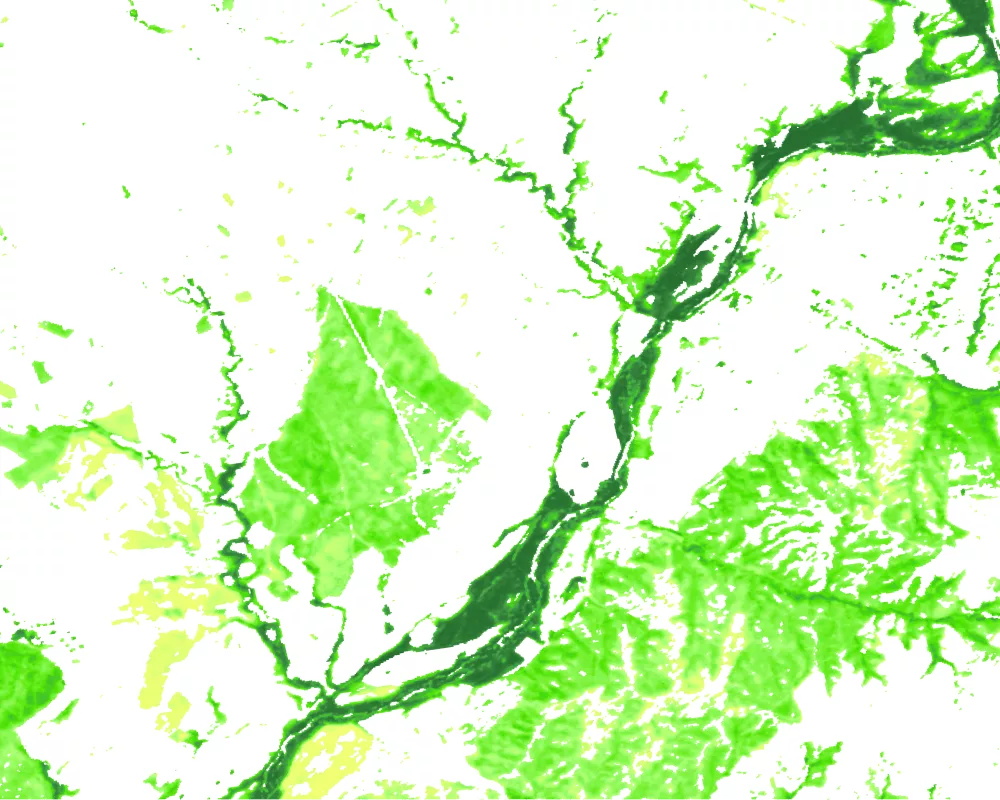 Tree cover density overlay transparent 