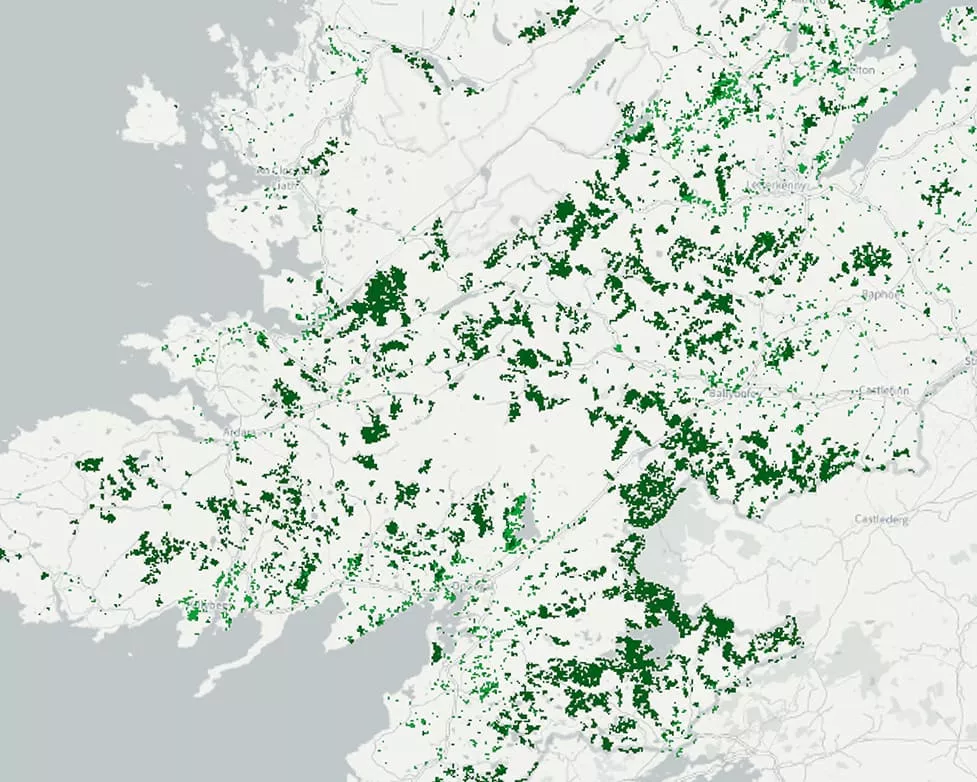 Tree cover density