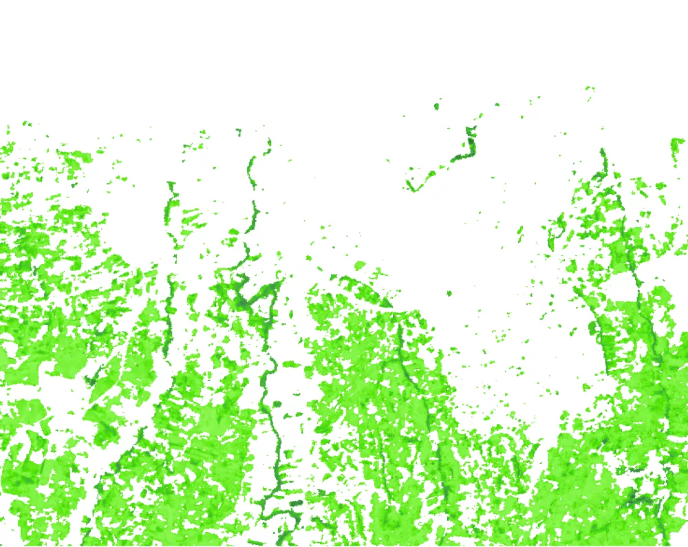 CLMS tree cover density  