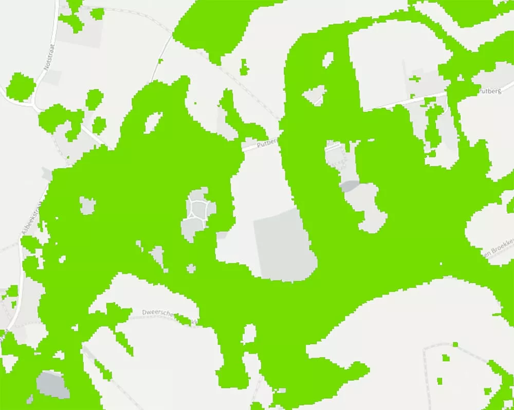 Woody Vegetation Features
